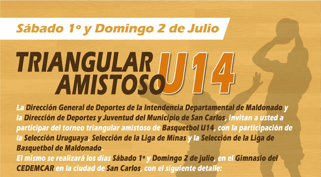 Afiche triangular Sub 14 de básquetbol